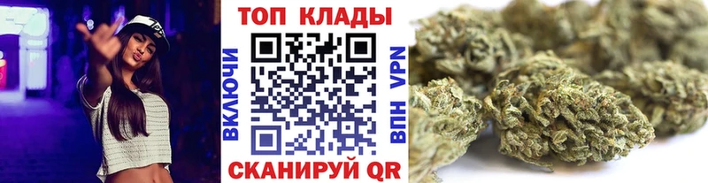 Магазины продажи наркотиков Жирновск ГАШИШ  Псилоцибиновые грибы  КОКАИН  Меф  АМФЕТАМИН  Бошки Шишки  Альфа ПВП 