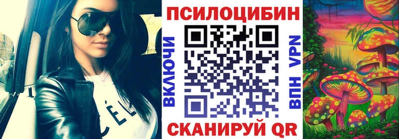 Псилоцибиновые грибы Psilocybine cubensis  Жирновск 